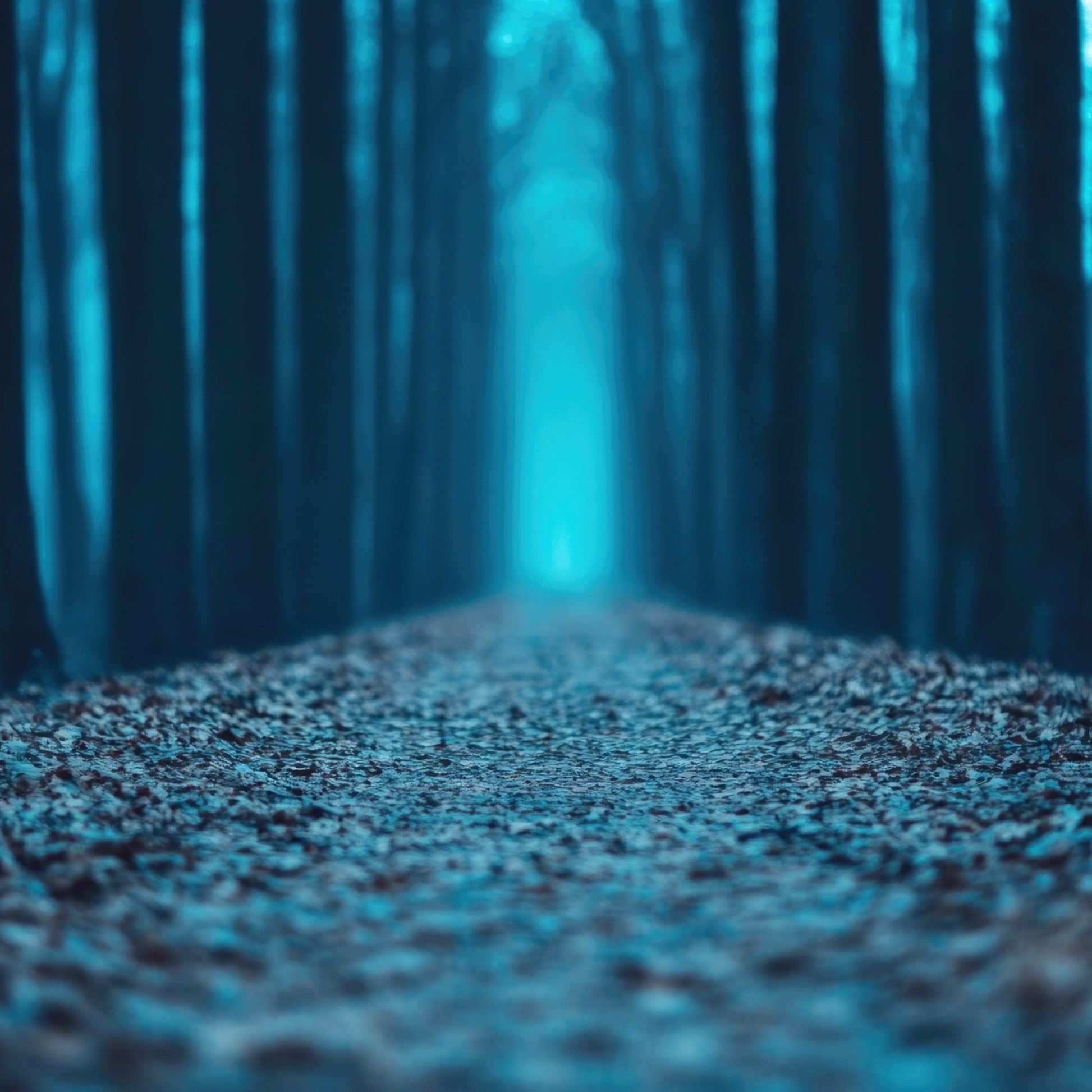 Moody image of a misty forest looking through the trees