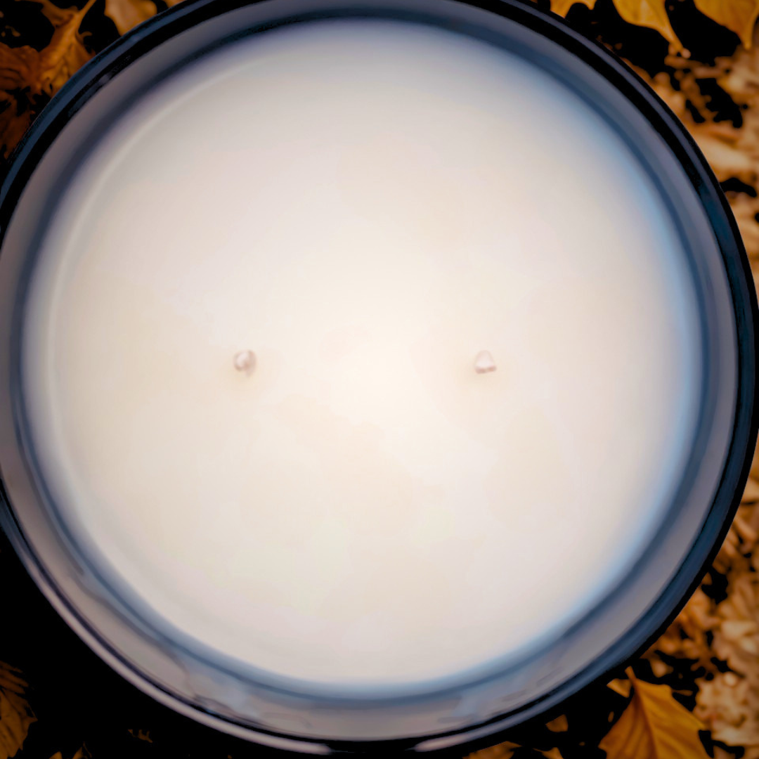 Top-down view of a white wax candle in a dark round container, with two wicks and a background of scattered brown and yellow leaves.