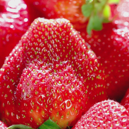 Strawberry | Luxury Olive Oil Wax Candle
